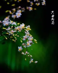 不亂于心，不困于情。不畏將來，不念過往。如此，安好。我們會遇到許多的人，也許會讓你停止腳步，也許會繼續向前，知道那個你要的人出現，才會再一次的停靠吧。我知道這種感受，明白這種滋味。沒有誰離開了誰活不了，也是沒有誰是沒有了誰世界就變了。配圖