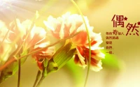一個人必須敢于為自己的生命承擔該承擔的責任，才能真正走向成熟。配圖