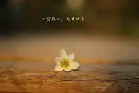 　　人的好心態(tài)，不是想有就有的。人的好心態(tài)往往同一個(gè)人的學(xué)習(xí)，修養(yǎng)和人品，道德，素質(zhì)緊密相連。人有了好心態(tài)，思想就得到了升華，就進(jìn)入了一個(gè)新的境界。人有了好心態(tài)，就能為構(gòu)建社會(huì)主義和諧社會(huì)發(fā)光發(fā)熱，盡心盡力。配圖