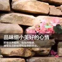 【轉】配圖