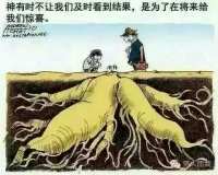 不只是要施肥，灌溉，更要忍耐，等待著那遲來的獎賞！配圖