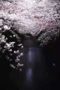 世間根本沒有所謂的高冷，在你面前沉默寡言的人，在另一個人面前說不定會變成話嘮。大多數人都可以在高冷和逗逼中隨時切換毫不費力，區別在于你面對的人是誰。配圖