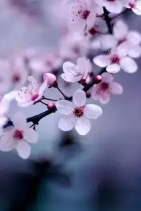 世界上，沒有擠不出的時間，只有不想赴的約。每一個選擇，都是內(nèi)心的取向。配圖