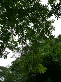 心理学研究发现，当人遇到不满或心情不悦的时候，通过呐喊的方式能减少自己的压力，进而达到心情舒坦的效果，这也是就是心理上所讲的呐喊疗法，它是通过粗矿，强烈，急促，无拘无束的喊叫将人们内心积郁发泄出来，从而取得精神状态与心理状态的，平衡协调。这样的方式不但可以舒展情绪，同时可以扩大肺活配图