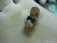 你还认识自己六周大的时候是什么样子吗？请看下图。配图