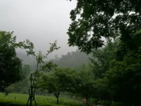 公園又被我包場啦?。?！包場的感覺真真好??！就喜歡下雨天來包場。配圖