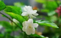 揮霍情緒十分有性格，但也是在揮霍自己的才華，與其將激情揮灑在外，不如省點力氣，想想如何讓自己變好。配圖