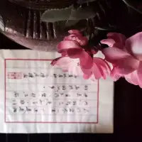 月光衣我以華裳，林間有新綠，似我青春模樣。青春透明如醇酒，可飲可盡	可別離，但終我倆多少物換星移的韶華，卻總不能將它忘記。配圖