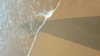 對的時間遇到的都是對的人，對的人變成錯的人，不是人變了，是時間讓你看到了彼此的真像……在真像面前……選擇接受？選擇放棄？還是選擇時間讓她再變成對的人？走著走著就知道了……不在弄不懂的時間折磨自己，放下……等待……相信時間會給答復……配圖