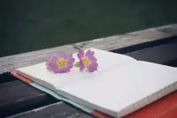 遺憾，是一種歲月的成全。配圖