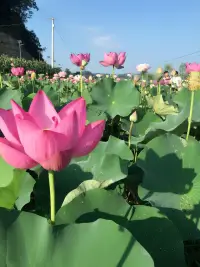 在我心里.我一个人从大学城出来的那一刻.我们之间就注定结束了、配图