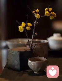 借我一個暮年
借我碎片
借我瞻前與顧后
借我執拗如少年
借我后天長成的先天
借我變如不曾改變
借我素淡的世故和明白配圖