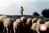 人最大的挑戰是面對真實的自己，接受心理咨詢的人就是勇于面對自己的人。我對她們充滿了敬佩和欣賞——因為我知道在很多時候我還不敢面對真實的自己。配圖