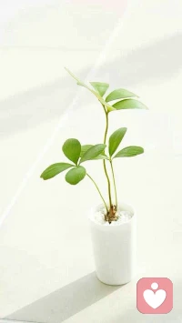 相信都會(huì)好的，期待我完全恢復(fù)的那一天。
加油啊！配圖