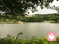 連日秋雨綿綿，天氣漸涼，正值冷暖交替之際，心有所感，小賦一首，共賞秋思
							秋		思
風起涼意雨綿綿
夏衣難擋秋意寒
夜半檐前聽落雨
恰似更漏催人眠配圖