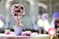 一個人最大的痛苦，不是因為失去了什么，而是因為迷失了自我。配圖