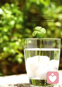 人生最曼妙的風景是內心的豐盈，當你擁有了這個資本，即使失去全世界，也不會感到孤單！配圖