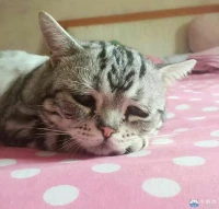 【轉】安慰一個哭泣的人，不是說，不要哭，而是說，你一定很痛苦，想哭就哭或我陪你一起哭，這就是共情。配圖