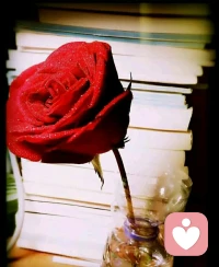 【轉】敞開心扉看世界，自我認知是關鍵，最差不過卑微的死去，不死還會回來配圖