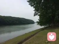 心理咨詢疏導心理問題需要一個時間過程，因為交談是需要時間的；一些心理影響技術產生作用是需要時間的和通過經歷生活事件檢驗也是需要時間的。任何以為用一兩次的高額付費電話約談就給予或獲得一個靈丹妙藥的說法，都是忽悠。配圖