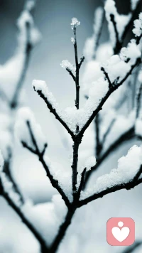 真正爱花的人会去浇水，喜欢花的人只会去摘花。配图