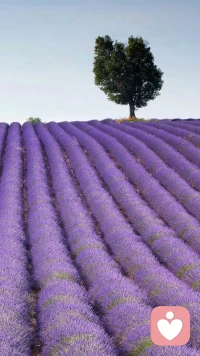 人。人要終生學習，終生成長，活到老，學到老。從一個什么都不懂得‘’小動物‘’，成長為成熟的獨立自主的大寫的‘’萬物之靈‘’。配圖