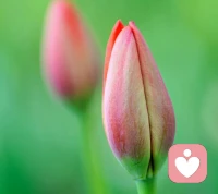 沟通建立在关系的基础上，好的关系可以带来好的沟通，好的沟通又可以强化好的关系。配图