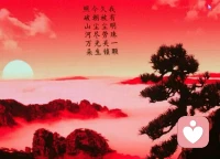 爱自己，和依赖别人的区别

别人对我好，我更快乐一点，别人对我不好，我依然很快乐，因为本来就好好爱自己了，不缺爱。

不真正爱自己，别人对我好我才快乐，别人对我不好，我就难受的要死。

这是一个主要区别。配图