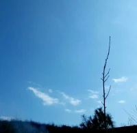 和父親，哥哥，愛人去母親的墓地看望母親。母親去世前拉著我的手說希望我找到一個好男人。
十一年，經(jīng)歷很多，終于都好。
心里向著美好，路途崎嶇，終會到達自己想要的地方。
好好愛，暖心和你，一直在一起。配圖
