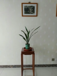 船渡歸鄉客，								蘭思怨春遲。配圖