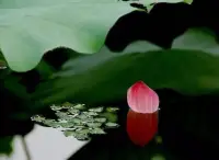 愛，可以是這個世界上，最溫暖的光，也可以是這世界上，最傷人的刀。
在我們臉上留下的風霜雨雪，不僅僅是無法抗拒的地心引力，更多的是沒有愛的滋養而逐漸孤苦和分裂的心。
如果一個女人通過戀愛與婚姻愈發滋潤，一定是因為這個男人的愛與人品足夠靠譜。好的男人就是最好的整容師，最好的化妝品。
真正愛你的男人，會給你足夠的幸福感和安全感。因為他懂得，既然在一起，就要好好對待你。這才是一個男人最基本的教養和最靠譜的負責。配圖