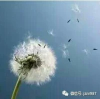 【轉】“睡眠效應”是社會心理學的觀點:指在面對人或事時，起初并沒有好印象，但隨著時間流逝，壞印象像“睡著了”一樣慢慢變淡，而好印象漸漸升起。所以做事情不要急于求成，有時候時間也是會成為幫助我們的有利武器。配圖