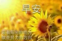 心理成長，就是從幼稚走向成熟的過程，我們	不是完美的人，因此我們的成長也就意味著從不良經驗的陰影中走出來，每個人都有無窮的潛力和可能性，發展意味著不斷地充分地發揮個人潛能。相信自己，每個人都有權利活得自由、充足、自信快樂！配圖