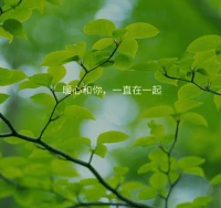 心理健康的人，有健康的情緒體驗。他的情緒狀態(tài)是由適當?shù)脑蛩?，情緒反應(yīng)的強度與引起它的情景相稱，情緒持續(xù)的時間隨客觀情景而轉(zhuǎn)移。心理健康的人，既有愉快、喜悅、歡欣等積極的情緒狀態(tài)，也有憤怒、恐懼、焦慮等消極的情緒狀態(tài)，但積極的情緒體驗常多于消極的情緒體驗，經(jīng)常能保持愉快、樂觀的配圖