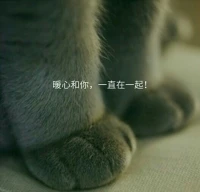 你的夢是歡樂，憂愁還是模糊的？夢，是你自己的一部分，它的出現，引領你覺察一下你內心想要看見的人事。
有想見的人，就去見見吧。想做的事，通過你想要的方式實現。
好好生活。暖心和你，一直在一起。配圖