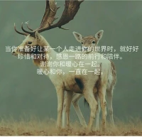 回家鄉(xiāng)探親半月，今晚離開，有不舍和眷戀，這些日子，經(jīng)歷的美好多過憂愁，感恩自己體會(huì)著生命的豐盈，我的家鄉(xiāng)，謝謝我愛的人們。
一切都好，暖心和你一直在一起。配圖