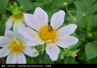 【转】过度使用科技产品有可能增加孩子的抑郁症，焦虑和对科技产品变态的依赖。很多孩子不能集中注意力，自闭，人格分裂，精神病甚至有病态行为。配图
