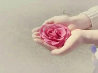 【轉】【秋心心語】:		婚姻中出現問題不在于時間消磨了愛情，而是在愛情消散過程中，彼此沒有建立其他感情連結，這是因為一方或雙方關閉了心的通道——你說的我不聽，我要的你不給，于是你怨氣沖天，我心煩意亂，關系雖綁在一起心卻漸行漸遠。親密關系中最重要的是尊重彼此的自我意愿，愛的鏈接才會越來越親！配圖