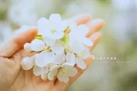 我心守候你心！寂静的夜晚，我将为你点亮心灯！配图