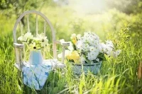 【轉(zhuǎn)】【秋心心語(yǔ)】:	自卑的心理常常導(dǎo)致你處在一種負(fù)罪感中，這是一種變形的過(guò)分的責(zé)任感。有些人總感覺(jué)得自己肩負(fù)著許多責(zé)任義務(wù)。其實(shí)這些責(zé)任義務(wù)與你一點(diǎn)也不著邊際。就是這種不著邊際的責(zé)任義務(wù)，時(shí)常折磨著你的精神，令你有窒息感。學(xué)會(huì)降低自我要求標(biāo)準(zhǔn)，接納不完美的自己，你的生活就會(huì)充滿亮色。配圖
