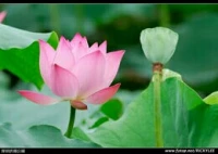 【轉(zhuǎn)】運動生理學家發(fā)現(xiàn)鍛煉對于睡眠有促進作用。他們發(fā)現(xiàn)，規(guī)律性的運動可以提高睡眠質(zhì)量，減輕失眠癥狀。運動本身會增加人的新陳代謝活動，增加人的體內(nèi)溫度。結(jié)束鍛煉以后體內(nèi)的溫度又會顯著下降已達到一個體內(nèi)的平衡。有研究又發(fā)現(xiàn)，睡眠時的體內(nèi)溫度下降是在鍛煉后4-6小時，人就會睡眠，睡眠也會更深更好配圖