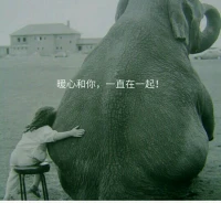 閑著時(shí)與朋友聊天，談及各自的小心事，小煩惱。有時(shí)笨笨的，呆呆的彼此，不怕被笑話，也真誠(chéng)相待，勇敢表達(dá)自己。
謝謝，我一直心疼的人兒，我的朋友，善良，有情義的你。
一切都好，暖心和你，一直在一起。配圖