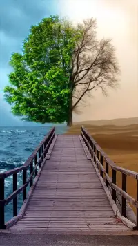 【转】【为何我们越失恋越难爱】心理学家研究发现，随着年长个人经历复杂化，人们倾向于粉饰以往的恋爱回忆：只把美好的越来越多地保留，形成了对当下情感经历强烈的对比效果。比较的结果大多使人感觉对当下的失望和对以往更多的留恋，每次比较都是对回忆的再次提纯过程。这是恋爱过程中阻碍幸福的自惑心理。	​​​​