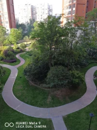 阳光明媚的早晨，暖暖的，心情舒畅！这种阳光本身就有治愈的力量，深刻吸一口气，能感觉到万物的生机！