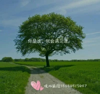 你是誰(shuí)，就會(huì)遇見(jiàn)誰(shuí)。
別忘了好好愛(ài)自己，晚安，暖心和你，一直在一起。配圖