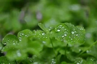 【轉】【秋心心語】:	人生沒有一帆風順，磨難和挫折，或許是上帝打著另一種包裝，送給我們的別樣禮物。這個禮物，不管我們喜不喜歡，都必須坦然面對和學會接納。
把磨難當成一次錘煉，把挫折當成一次飛躍，滄桑又何嘗不是人生的一種別樣成長！配圖
