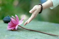 【转】【秋心心语】:	竹子用了4年的时间仅仅长了3cm，在第五年开始以每天30cm的速度疯狂的生长，仅仅用了六周的时间就长到了15米。其实在前面的四年竹子将根在土壤里延伸了数百米。做人做事亦如此，有多少人面对困境过程中没熬过那三厘米就自我放弃。人生需要储备，人生需要在等待中积蓄成长的力量

　　
　　配图