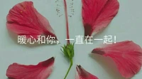 送給容易當眾發言緊張的你：你自己也有過小時候在課堂上回答問題答錯了，大家都笑了，當時覺得很出丑，想找個地縫鉆進去吧？其實過后大家都忘記了，就你還記得。換位思考一下，如果是其他人回答錯問題了，你也是一樣會笑笑就過去了。
暖心和你，一直在一起。配圖
