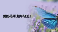 爱有花期