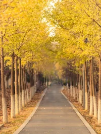 如果有人
不遠(yuǎn)千里
只為見你一面
別問任何理由
此刻
這個(gè)人
一定深愛著你配圖
